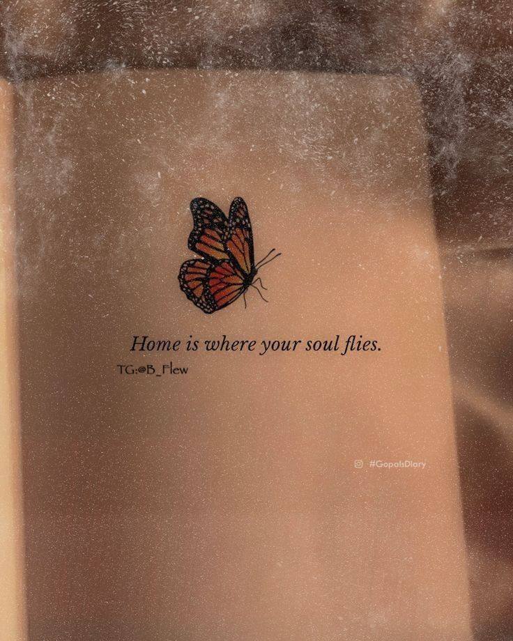 Quotes1